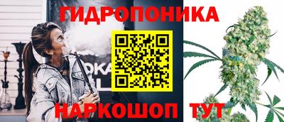 spice Краснознаменск