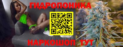 spice Краснознаменск