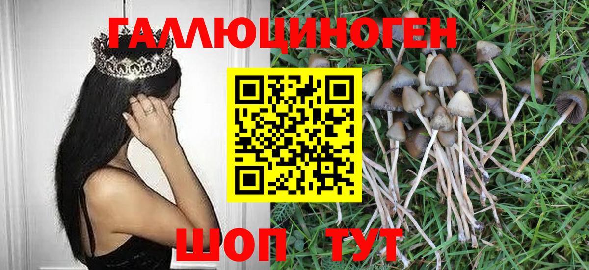 Галлюциногенные грибы Cubensis  Вход с VPN  наркотики  Галлюциногенные грибы MAGIC MUSHROOMS  Изобильный 